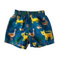 into_the_wild_swim_shorts - The Jake and Isla Collection