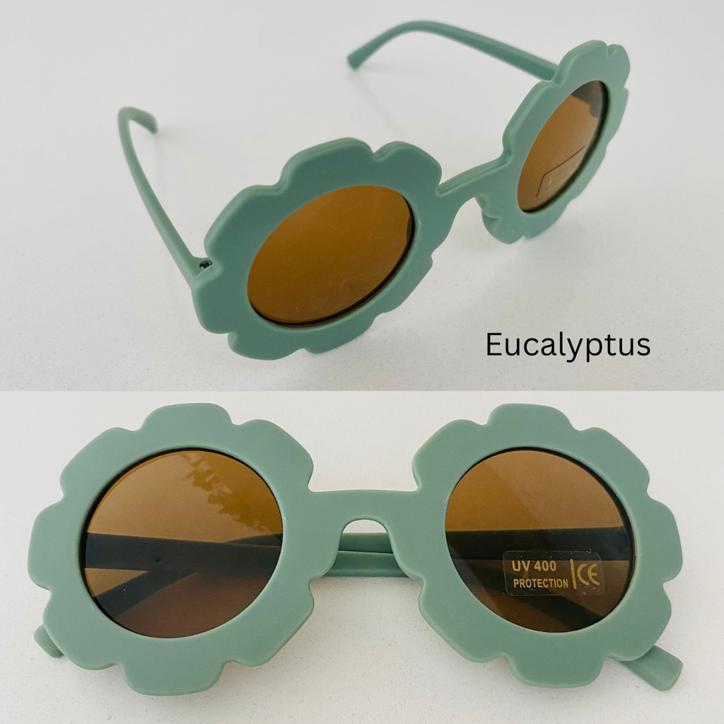eucalyptus sunglasses on white back ground