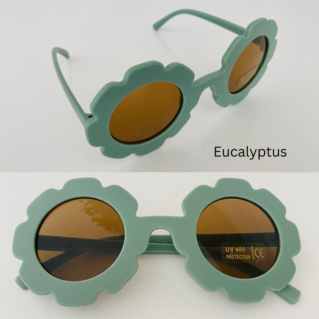 eucalyptus sunglasses on white back ground